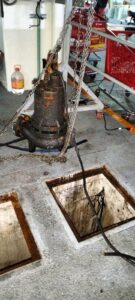 imagen de whatsapp 2025 09 24 a las 13.37.22 a64dcc94